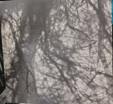 Grouper : Way Their Crept (LP, Album, RE)