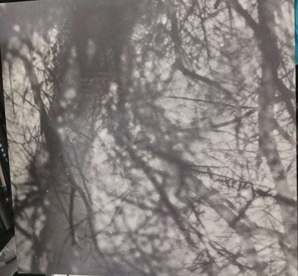Grouper : Way Their Crept (LP, Album, RE)