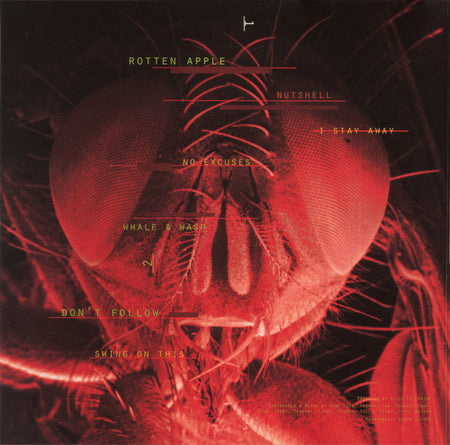 Alice In Chains : Jar Of Flies / Sap (12", EP + 12", S/Sided, EP, Etch + MiniAlbum, Comp)
