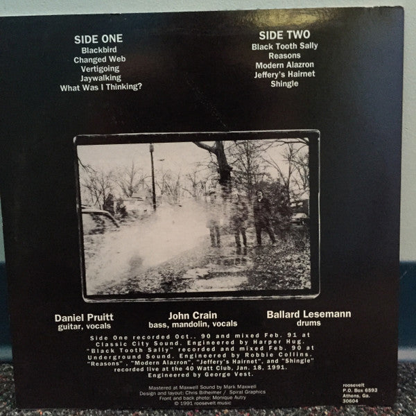 Roosevelt (3) : Shingle (LP, Album)