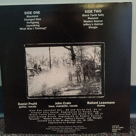 Roosevelt (3) : Shingle (LP, Album)