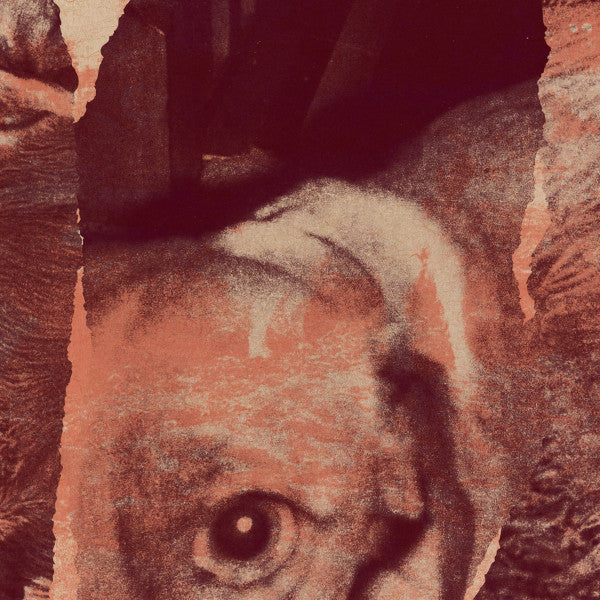 LOOMING (4) : dead dogs (Cass, Album)