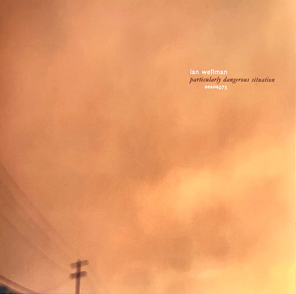Ian Wellman : Particularly Dangerous Situation (LP, Album, Ltd)