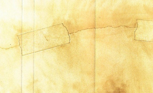 Nephila : Subcutaneous Memory (Cass, C20)