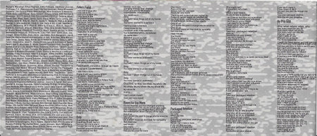 Anthrax : Sound Of White Noise (Cass, Album)