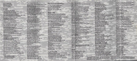 Anthrax : Sound Of White Noise (Cass, Album)