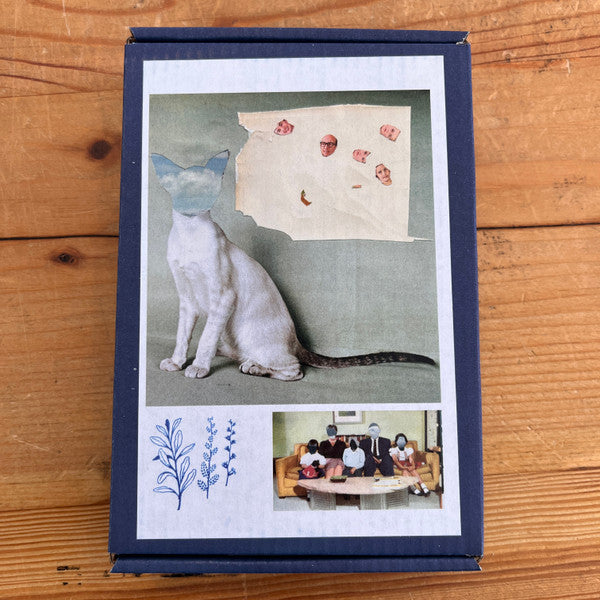 Altar Of Flies : Intellectual Strangulation (Cass, RE)