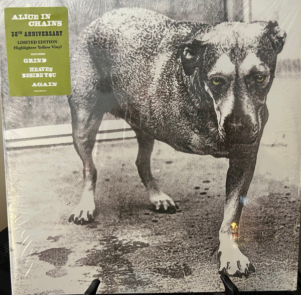 Alice In Chains : Alice In Chains (2xLP, Album, Ltd, RE, Yel)