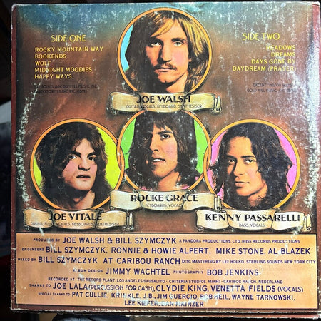 Joe Walsh : The Smoker You Drink, The Player You Get (LP, Album, Ter)