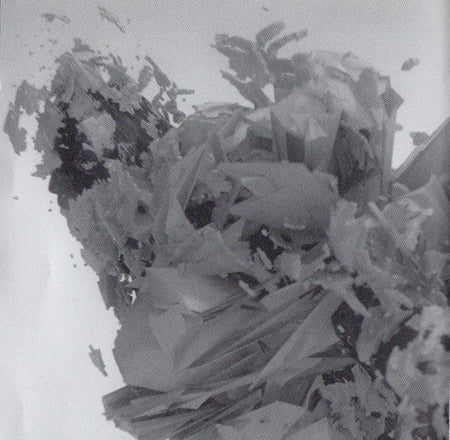 Linkin Park : Living Things (CD, Album, Cin)