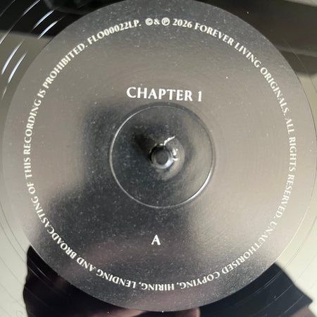 Sault : Chapter 1 (LP, Album)