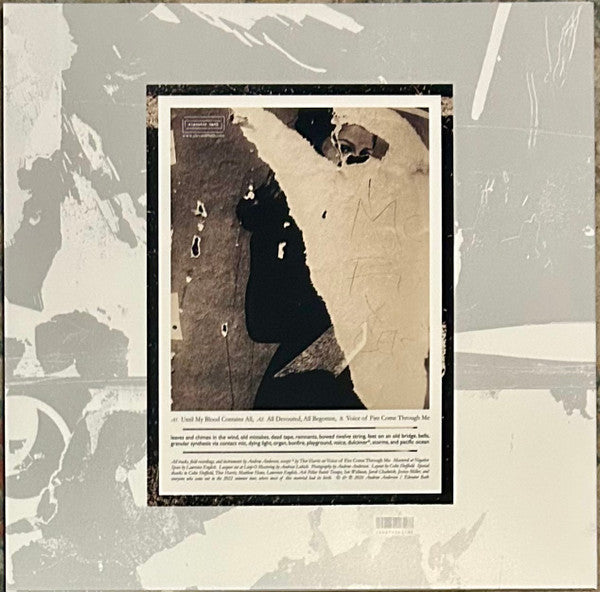 Andrew Anderson : Thresholds (LP, Album, Ltd)