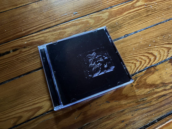Aostin Zink, Adam King (19) : Atlantean Glyph  (CD, Ltd)