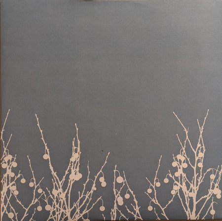 The Shins : Oh, Inverted World (LP, RE, 20t)