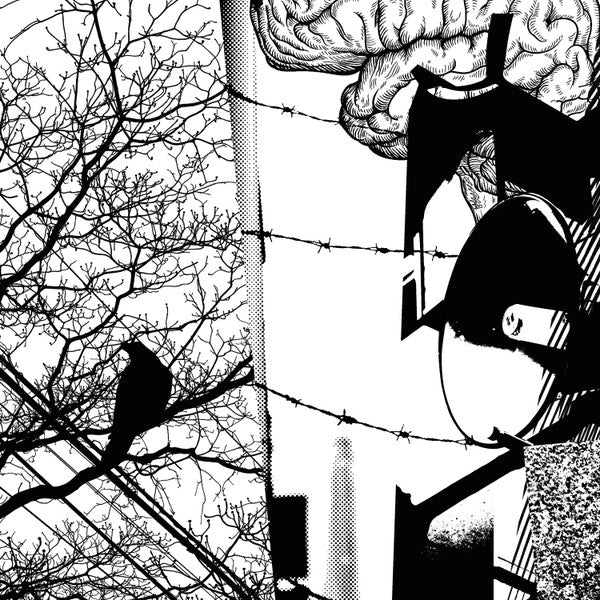 Kazumoto Endo / A Fail Association : Switchback / Head Cannon (LP, Album, Dee + CD)