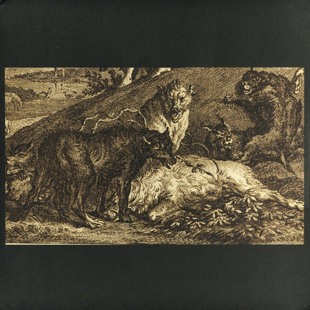 Kevin Drumm : Relief (LP)