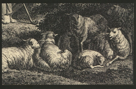 Kevin Drumm : Relief (LP)