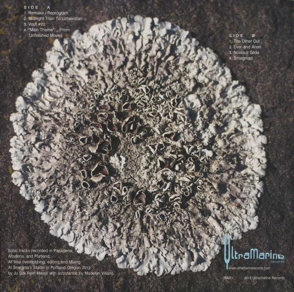 Smegma : Ever And Anon (LP)