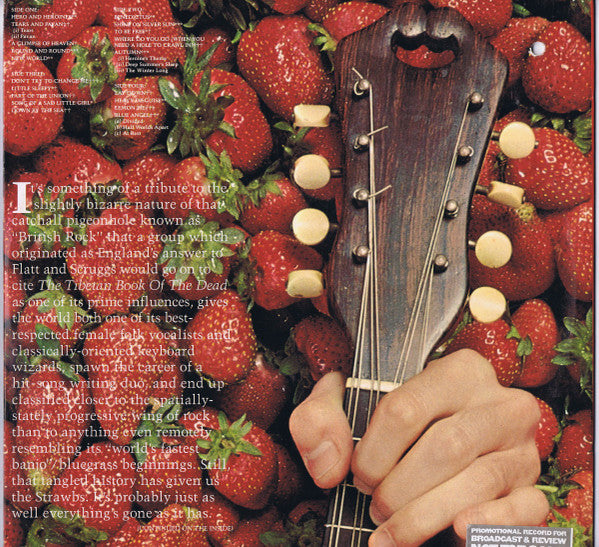 Strawbs : The Best Of Strawbs (2xLP, Comp, Promo, Gat)