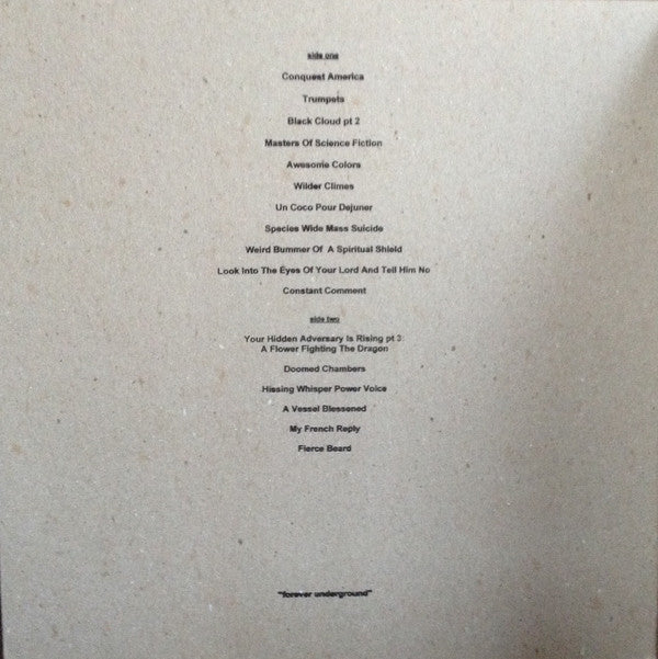Lazy Magnet : He Sought For That Magic By Which All The Glory And Mystic Chivalry Were Made To Shine - Or - Is Music Even Good? (LP, Album, Ltd)