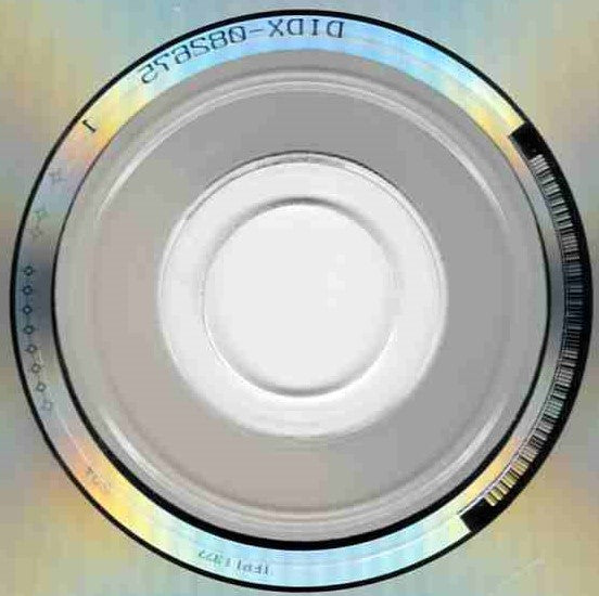 Al Di Meola : Flesh On Flesh (CD, Album, Dig)