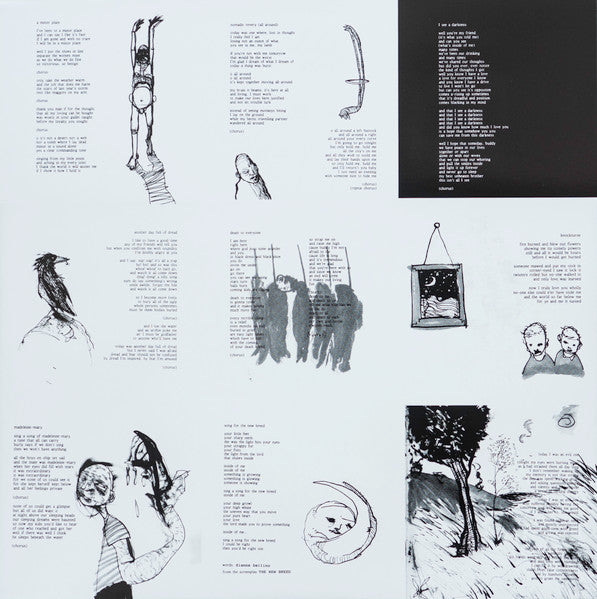 Bonnie "Prince" Billy : I See A Darkness (LP, Album)