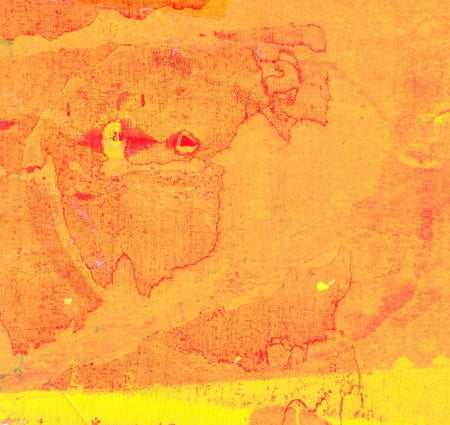 Grisha Shakhnes : Leave/Trace (LP)