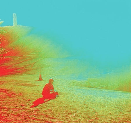 The Flaming Lips : The Terror (CD, Album)