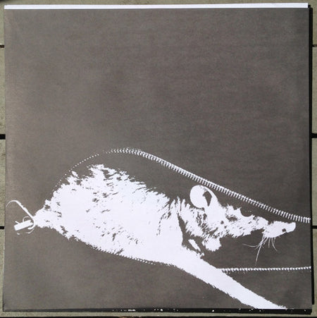 +HIRS+ : The First 100 Songs (LP, Comp, RP, Hot)