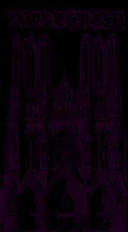 Morthylla : Morthylla (Cass)