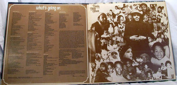 Marvin Gaye : What's Going On (LP, Album, Ind)