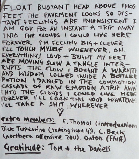 The Love Triangle : Clever Clever (LP)