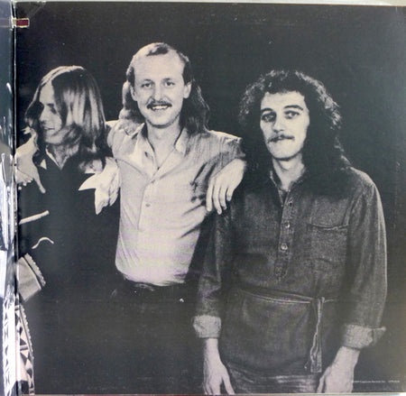 The Allman Brothers Band : Enlightened Rogues (LP, Album, M/Print, 72 )