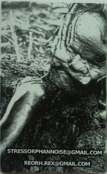 Stress Orphan : Bog Bodies (Cass, Ltd, C32)