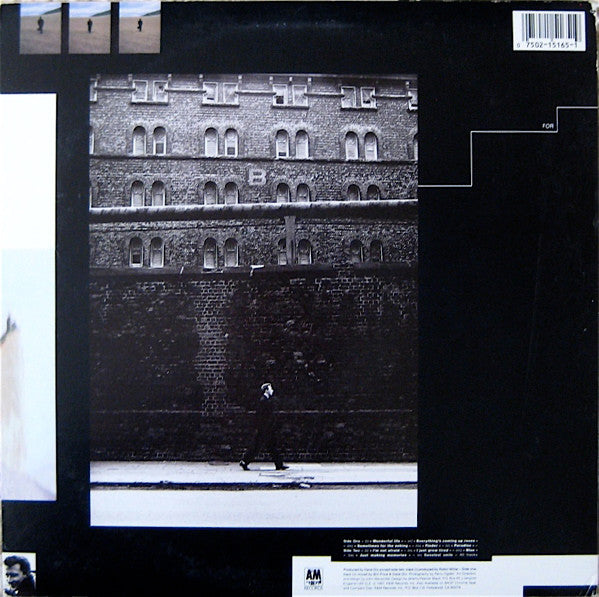 Black (2) : Wonderful Life (LP, Album)