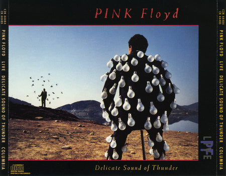 Pink Floyd : Delicate Sound Of Thunder (2xCD, Album)