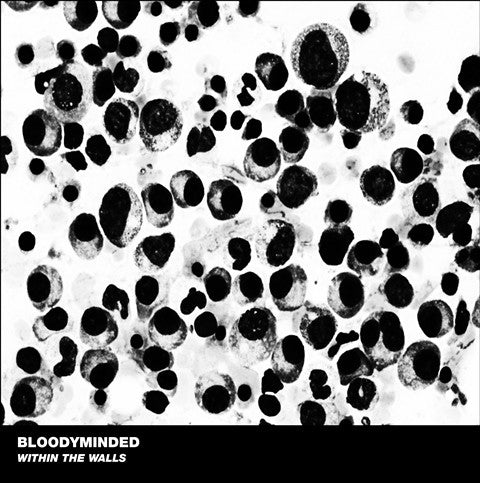 BLOODYMINDED : Within The Walls (LP, Album)