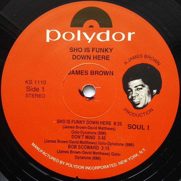 James Brown Plays And Directs The James Brown Band : Sho Is Funky Down Here (LP, Album, RE)