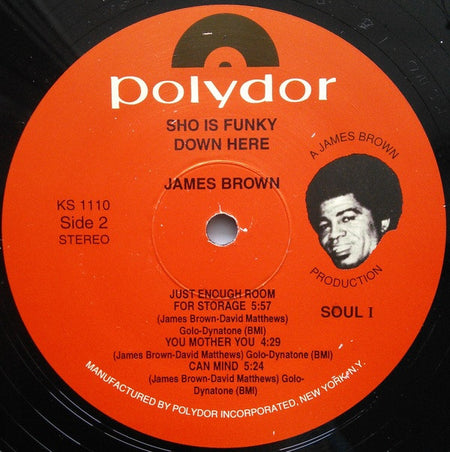 James Brown Plays And Directs The James Brown Band : Sho Is Funky Down Here (LP, Album, RE)