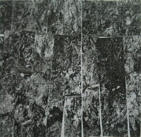 Muck (4) : Concealed In The Ashes Of Enemies (Cass, Album, Ltd, C34)