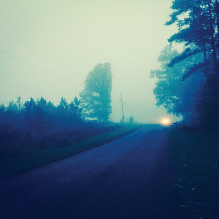 Jenks Miller, James Toth : Roads To Ruin (LP)