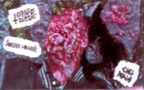 Chronic Demise / Sorcerer Torturer : Chet Death (Cass, Album)