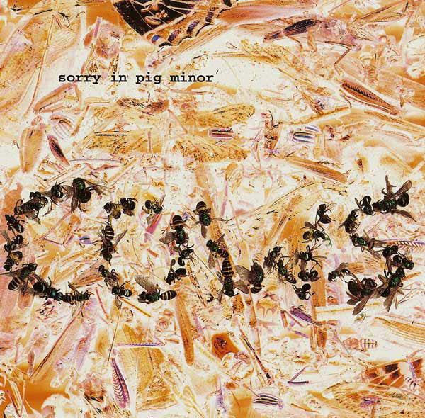 Cows : Sorry In Pig Minor (CD, Album)