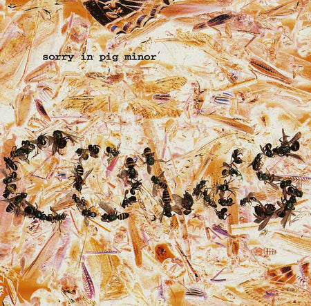 Cows : Sorry In Pig Minor (CD, Album)