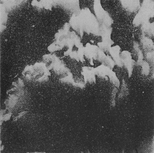 Total (2) : Exploded Star Sad Servant (CD, Album)