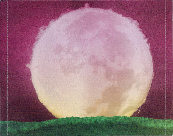 John Vanderslice : Pixel Revolt (CD, Album)