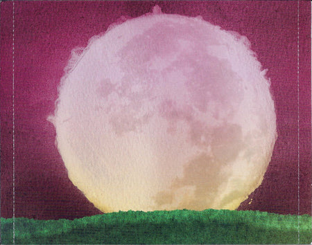 John Vanderslice : Pixel Revolt (CD, Album)