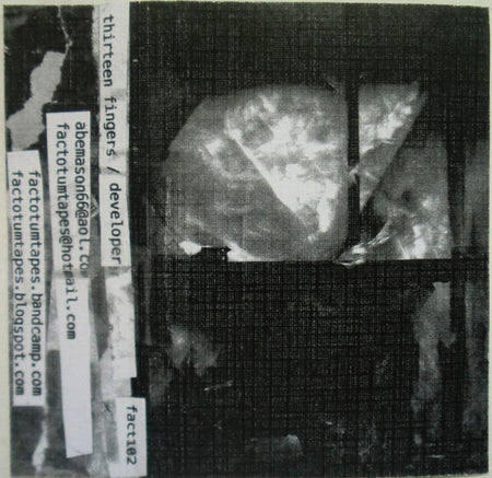Thirteen Fingers / Developer (2) : Thirteen Fingers / Developer (Cass, C10)