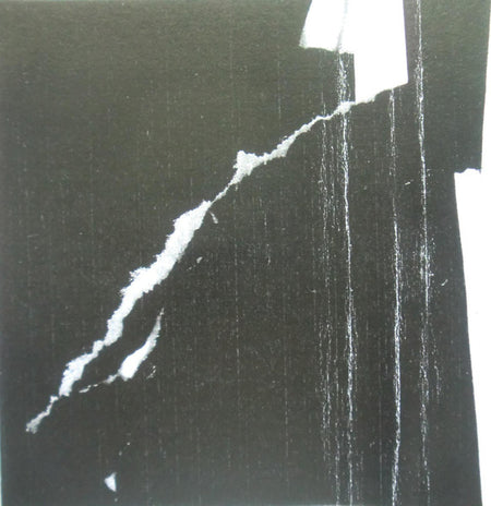 Thirteen Fingers / Developer (2) : Thirteen Fingers / Developer (Cass, C10)