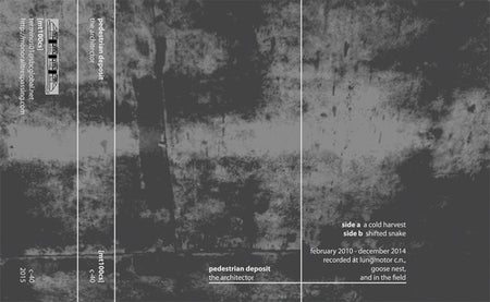 Pedestrian Deposit : The Architector (Cass, Album, Ltd, C40)